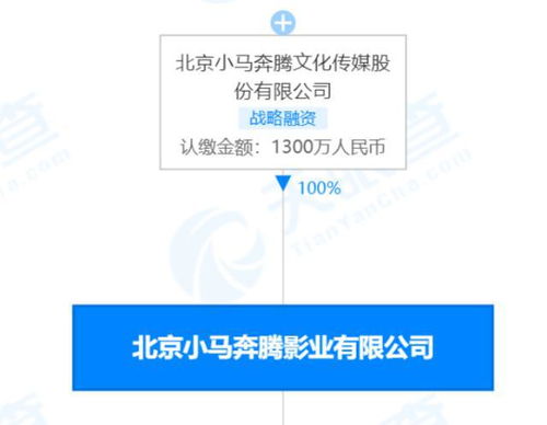 小馬奔騰影業(yè)被強(qiáng)制執(zhí)行3852萬 昔日榮光何以褪色？